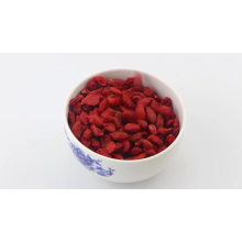 Chinese Traditional Herbal Medicine Fruit Fresh Goji Berries